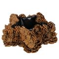 Floristik24 Kvetináč z borovicových šišiek, tvar hviezdy, 30 cm