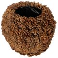 Floristik24 Dekoratívny kvetináč s borovicovými šiškami, prírodný vzhľad, 27 cm. Okrúhly kvetináč z borovicových šišiek, prírodná hnedá farba, vyrobený zo šišiek, 27 cm x 22 cm.