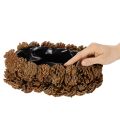 Oválny kvetináč v tvare šišky, 30 cm | Floristik24.sk