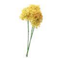 Floristik24 Okrasný cesnak Divoký Allium umelý žltý 70cm 3ks