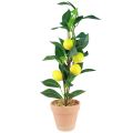 Floristik24 Umelá rastlina citrónovníka v kvetináči 42 cm