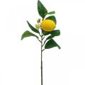 Floristik24 Deco vetvička citrón umelá vetvička citrónová 42cm 3ks