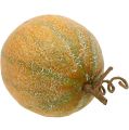 Floristik24 Dekoračný melónový melón Ø14cm