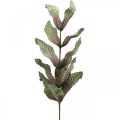 Floristik24 Umelá rastlina deko konárik zelená červeno hnedá pena V68cm