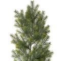Floristik24 Girlanda z umelých jedľových vetvičiek pre kreatívne kvetinárstvo, 175 cm