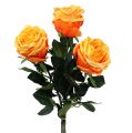 Floristik24 Deco rose orange Ø8cm L68cm 3ks