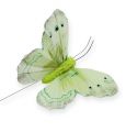 Floristik24 Deco motýlik na drôte zelený 8cm 12ks