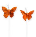 Floristik24 Deco motýlik na drôte oranžový 8cm 12ks