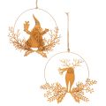 Floristik24 Vianočný ozdobný prsteň, sob v kruhu, Santa Claus s darčekom, kovová dekorácia, hrdzavý povrch, Ø18 cm, sada 2 kusov