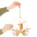 Vianočný ozdobný prsteň, sob v kruhu, Santa Claus s darčekom, kovová dekorácia, hrdzavý povrch, Ø18 cm, sada 2 kusov | Floristik24.sk