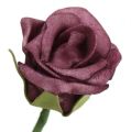 Floristik24 Penová ruža Bordeaux Ø3,5cm 30p