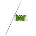 Floristik24 Motýľ na palici 17cm zelený