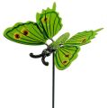Floristik24 Motýľ na palici 17cm zelený
