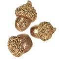 Zlaté jesenné plody, slávnostné jesenné dekorácie, prírodné dekoratívne žalude, adventná dekorácia Ø1,5 – 2,5 cm D1,5 – 3 cm 300 g | Floristik24.sk