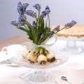 Klasický sklenený tortový tanier na nohy - Elegantný na každú oslavu Ø 20cm | Floristik24.sk