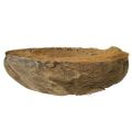 Kvetináč na kokosové palmy, prírodný, 20 cm, 5 kusov | Floristik24.sk