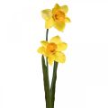 Floristik24 Umelé narcisy Hodvábne kvety žlté 2 kvety 61cm