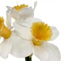 Floristik24 Umelý narcis hodvábne kvety biely narcis 40cm 3ks