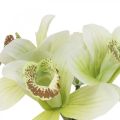 Floristik24 Umelé orchidey umelé kvety vo váze biela/zelená 28cm