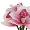 Floristik24 Umelé orchidey umelé kvety vo váze biela/ružová 28cm