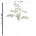 Umelá vetvička Senecio (starček), prepracovane vyrobená, 45 cm, 3 kusy | Floristik24.sk