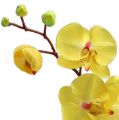 Floristik24 Umelá orchidea žltá 68cm