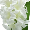 Floristik24 Hodvábne kvety hyacint biele 33cm