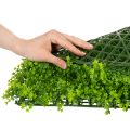 Umelá podložka z krušpánu 55x55 cm na dekoratívny nástenný dizajn | Floristik24.sk