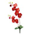 Floristik24 Deco orchidea červená 68cm