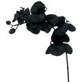 Floristik24 Orchidea na ozdobu Čierna 54cm