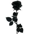 Floristik24 Kvet ruže hodváb čierny 63 cm