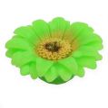 Floristik24 Plávajúca sviečka Gerbera Green Ø7,5cm